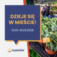 Dzieje się w mieście